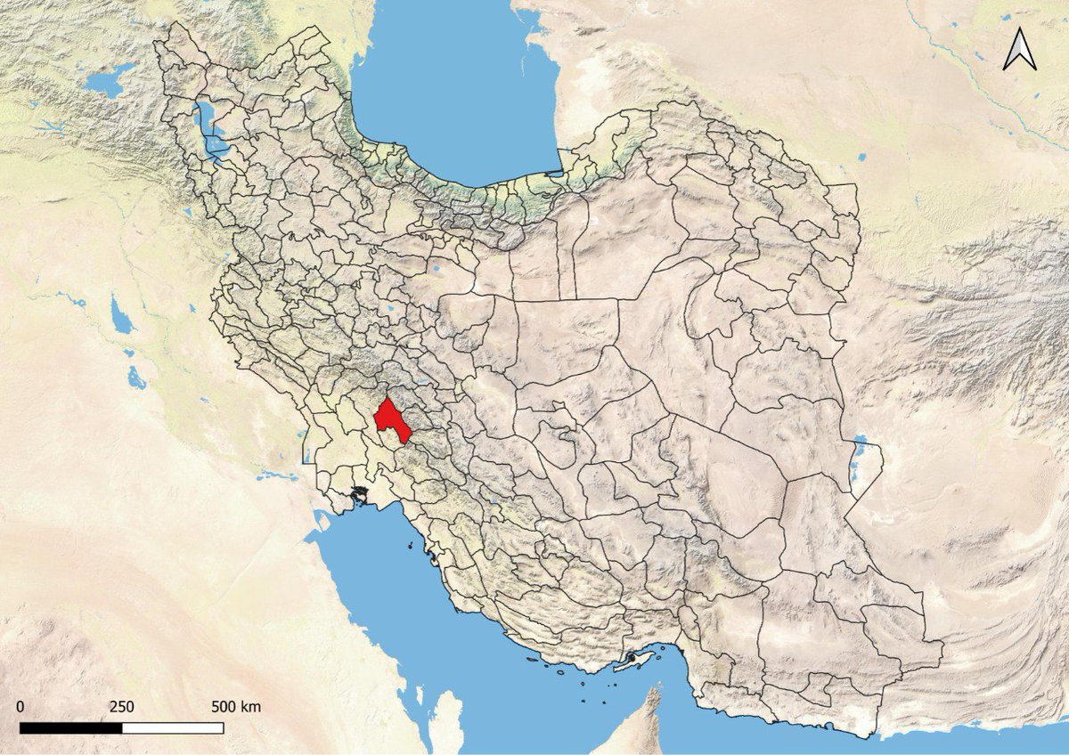 بُرج شعبه فرعی tweet media