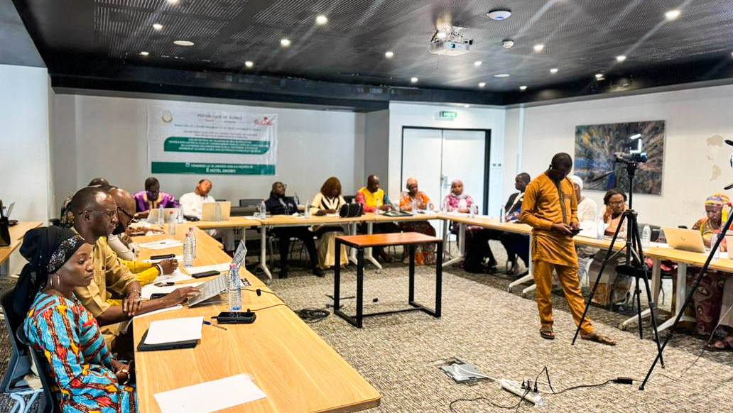 Ministère de l’Environnement Développement Durable tweet media