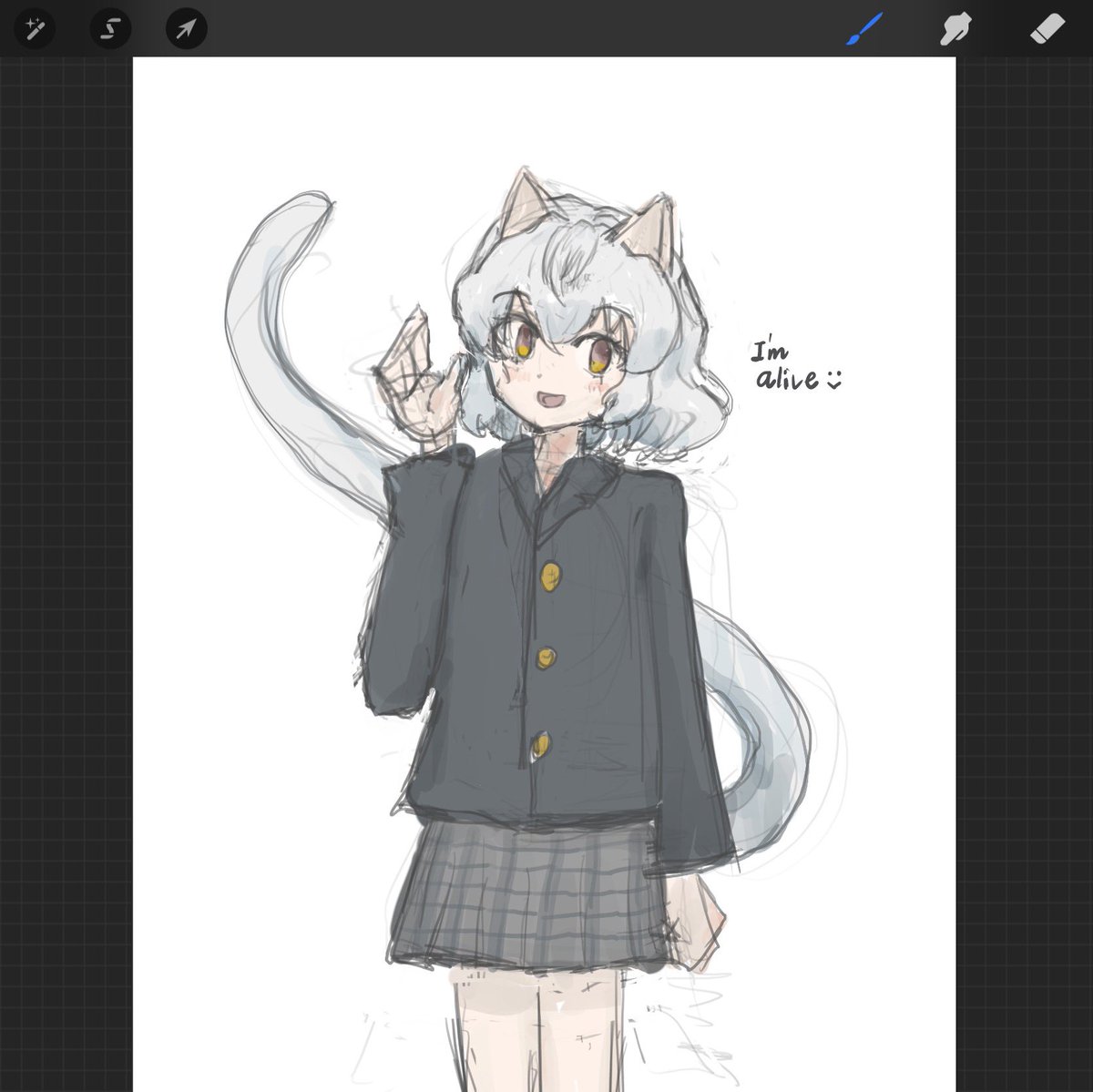 かん🐈 (@koke1155) on Twitter photo 