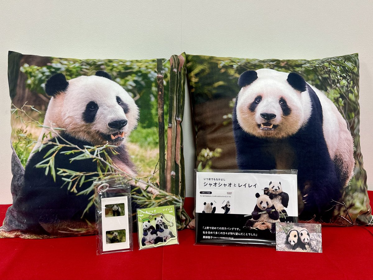 日本パンダ保護協会【公式】 (@ppij_nihonpanda) / Posts / X