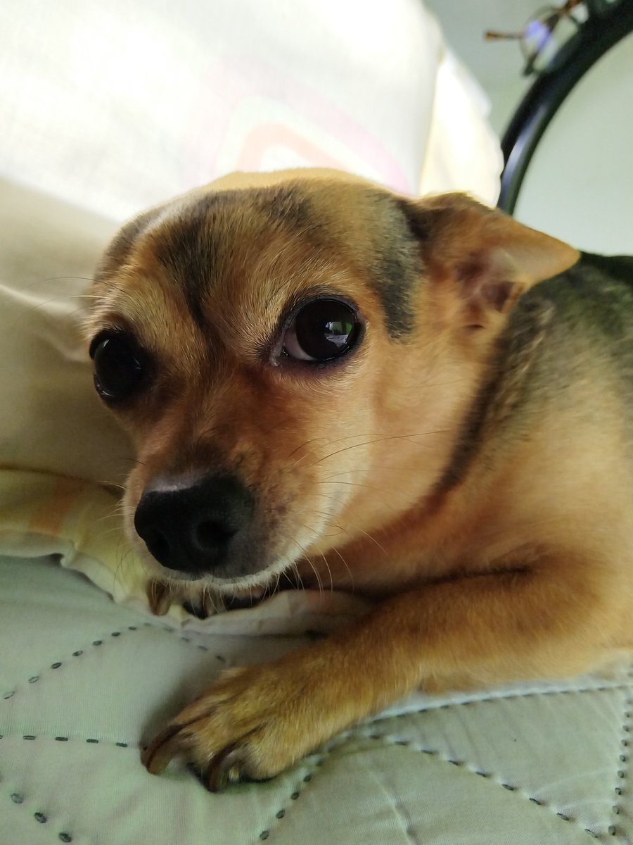 Bonjour a mes amis!

Miércoles lleno de puras cosas buenas para cada uno de ustedes, queridos amigos. Tengan un excelente día. 

Carpe Diem