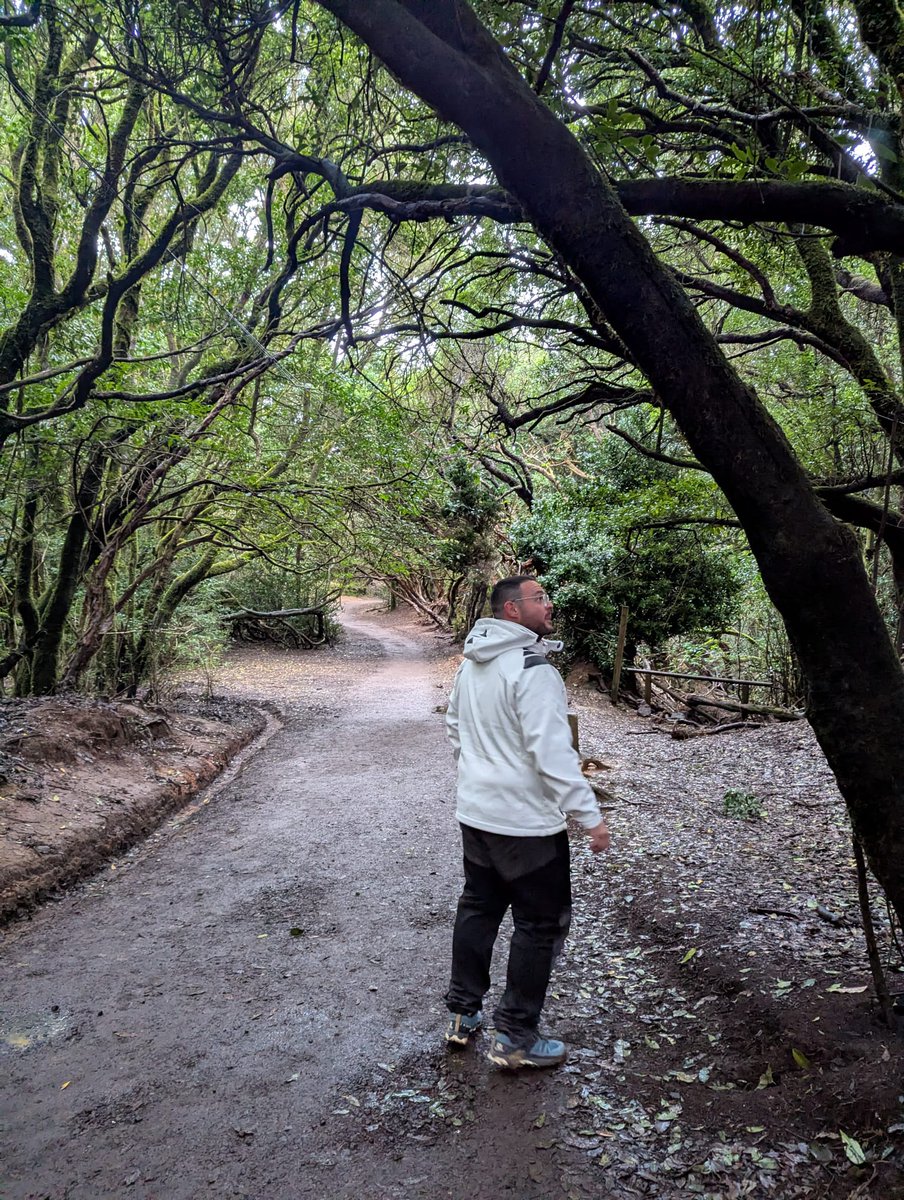 antoniomanito's tweet photo. 🇮🇨Bosques con encanto🇮🇨 https://t.co/8sR8z9cDPg