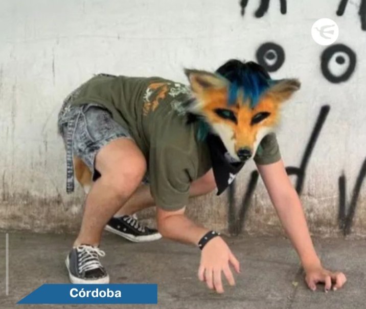 Pasen ubi de la juntada, para hacer una castración masiva,  así no se reproducen