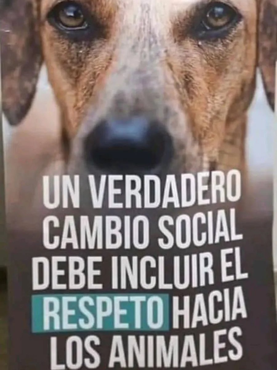 RincnCuriosoo's tweet image. 🙂🙂🙂