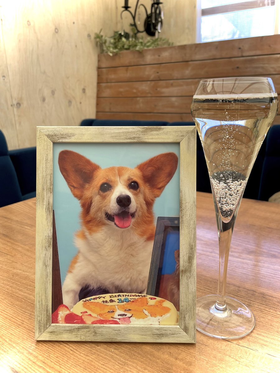 誕生日おめでとう🎉、“たま”😌💞