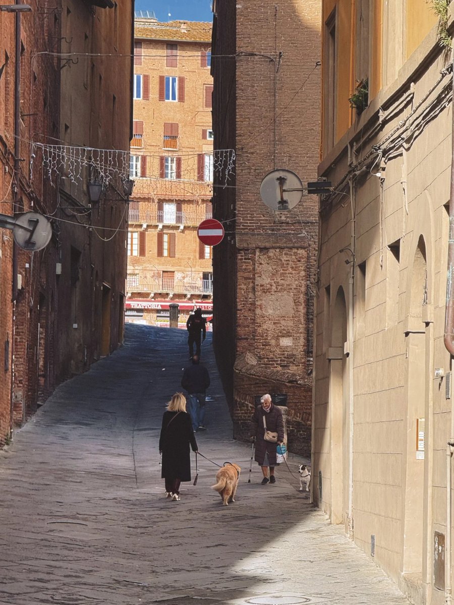 Time_catchX's tweet image. イタリアで一番好きな町、シエナ！私の旅行の思い出です。