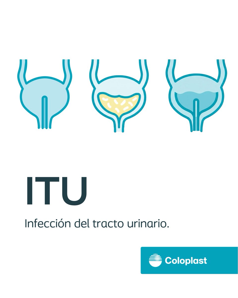 Coloplast Incontinencia España tweet media