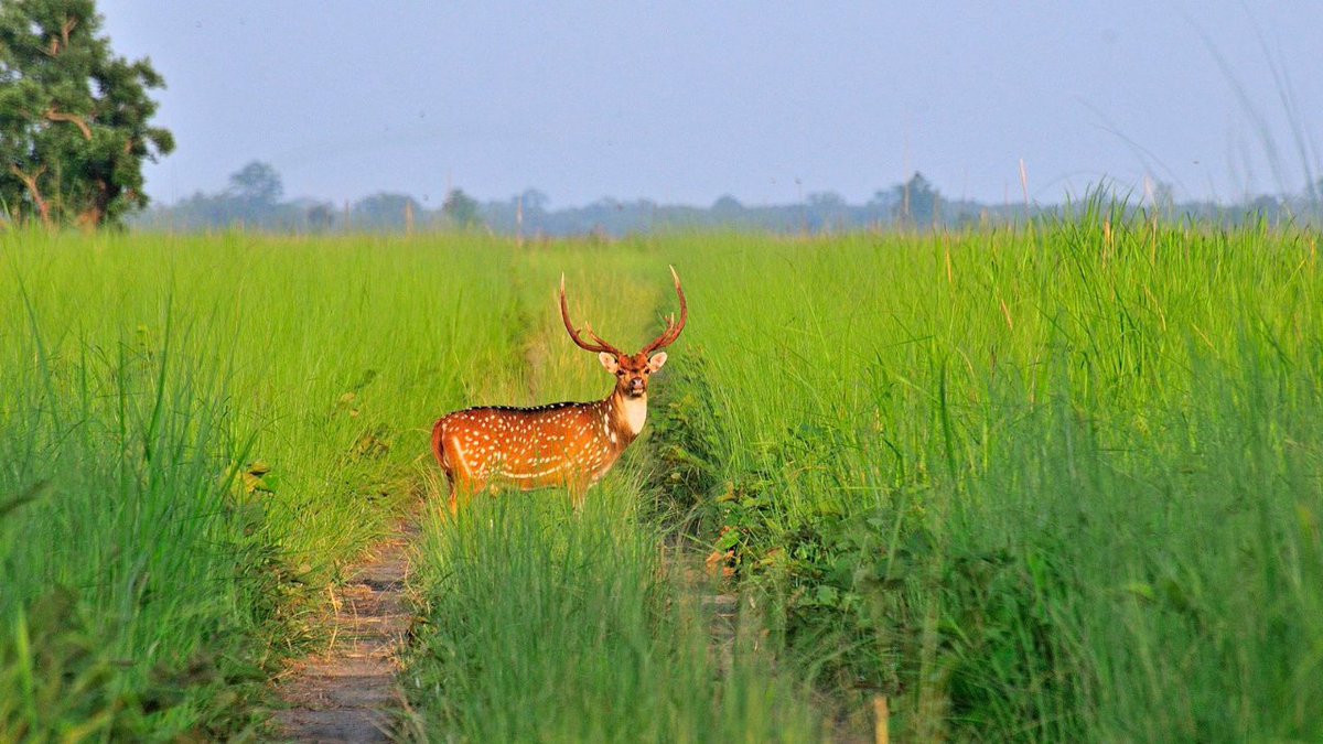 Nepal Tourism Board tweet media