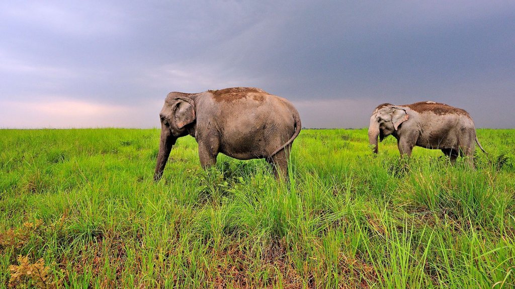 Nepal Tourism Board tweet media
