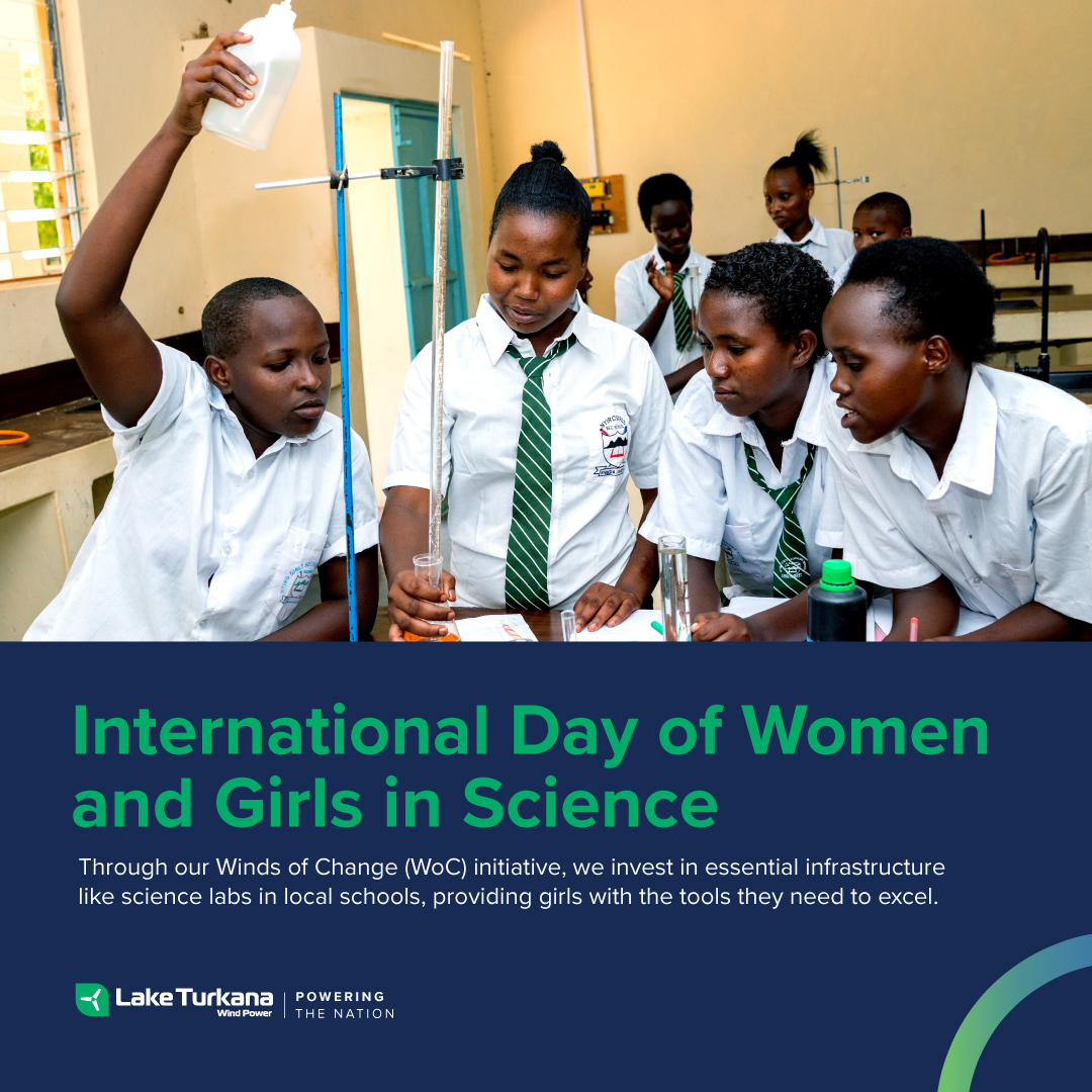 Lake Turkana Wind Power tweet media