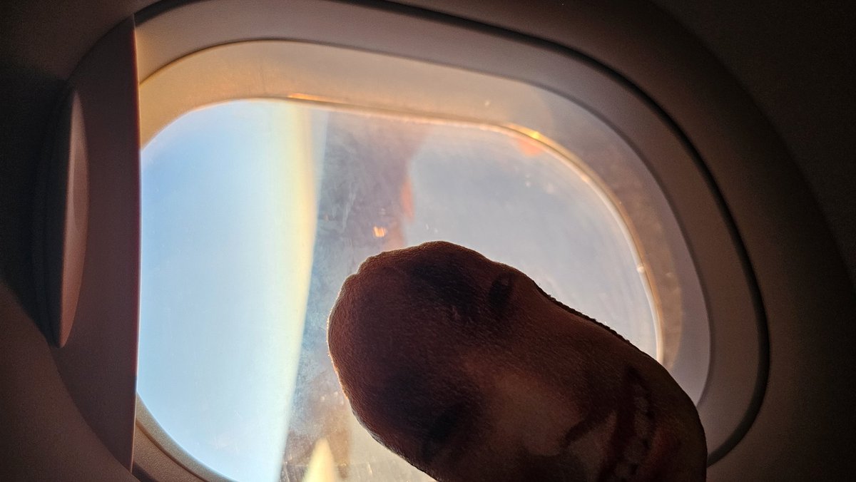 무식.. tweet media