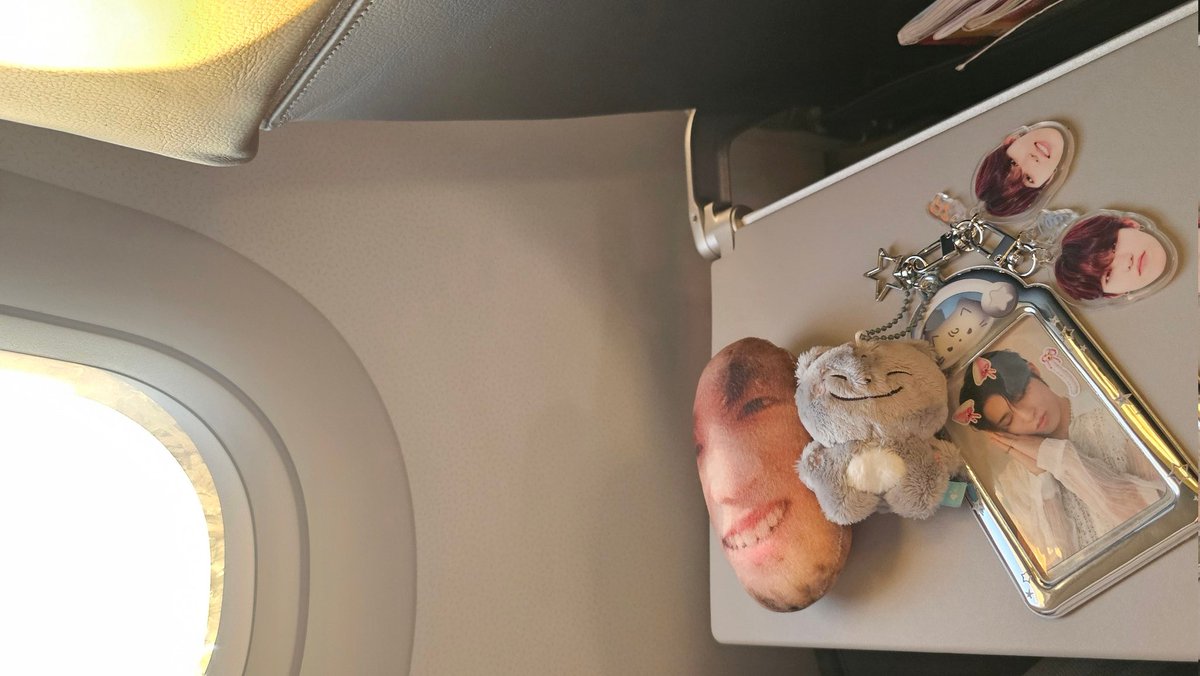 무식.. tweet media