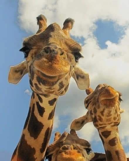 When you feel too deep in the waves of your current problem, step back and see clearly; view your situation with fresh, objective eyes. #leadership #quote #HR