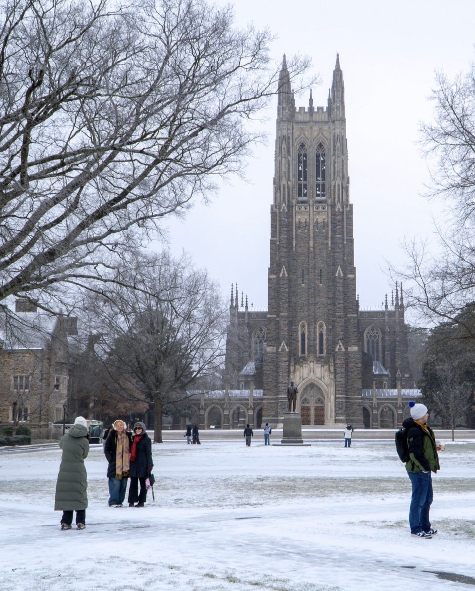 Arcus Advisory tweet media