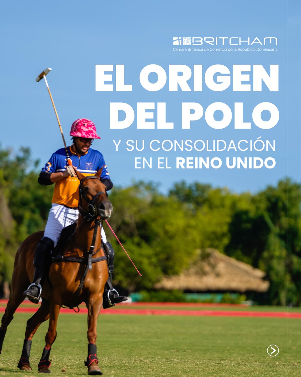 BritchamDR tweet media