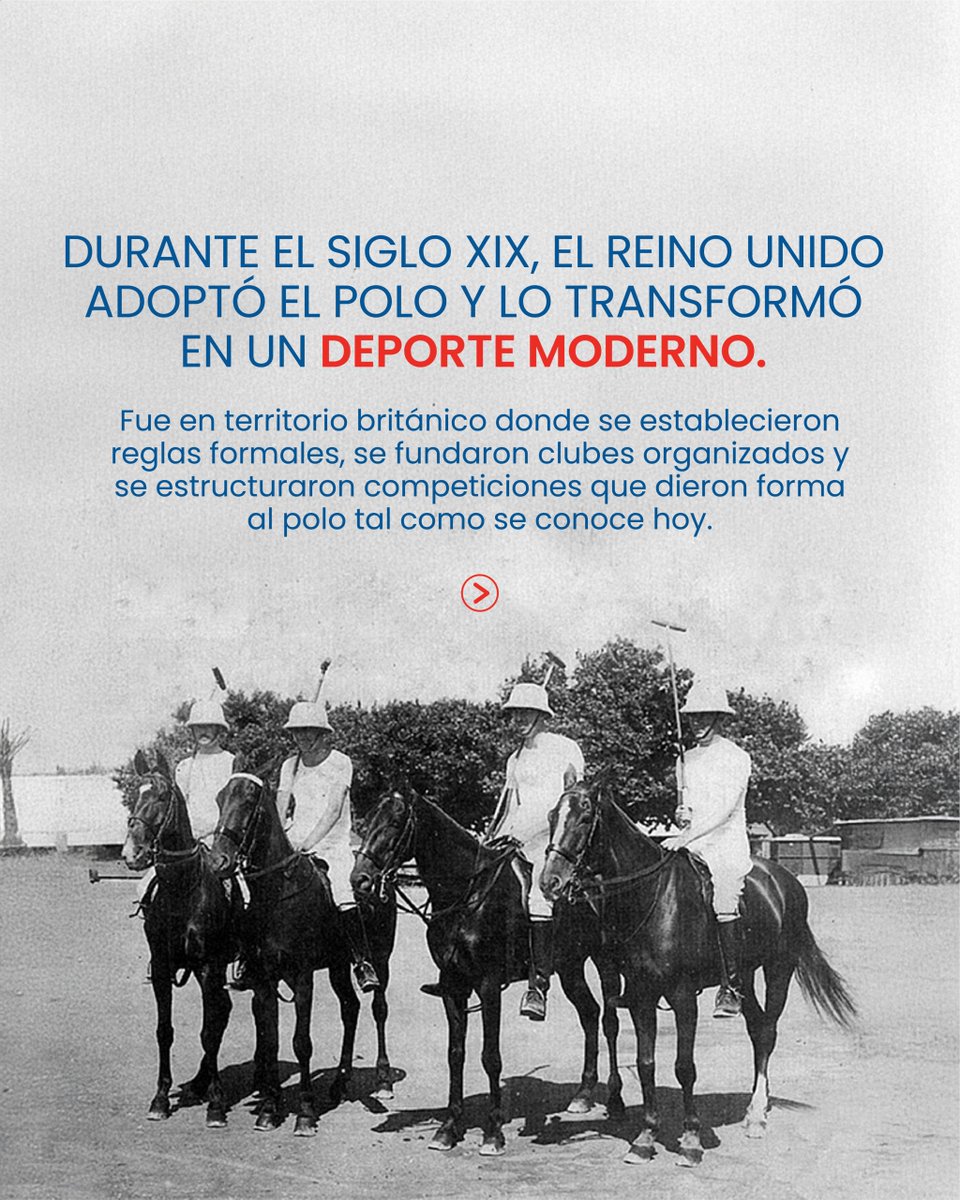 BritchamDR tweet media