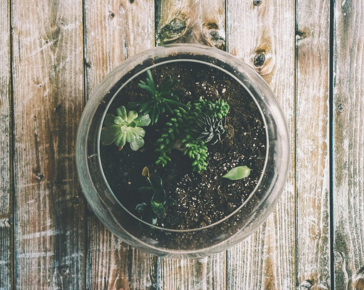 Westminster Libraries and Archives tweet media