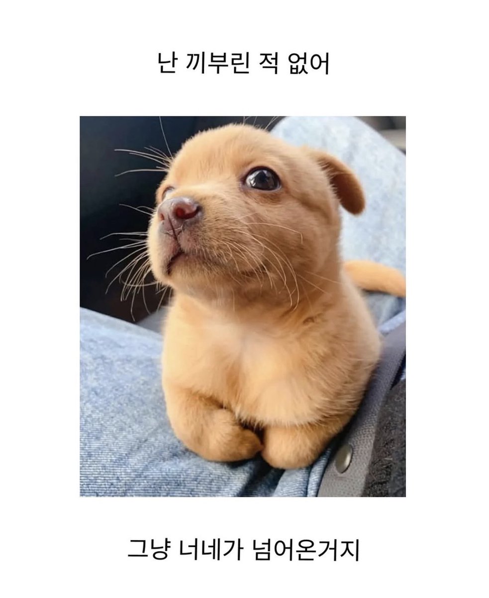진운여주의 여자 항상 이런 태도임
근데 맞는 말이라서 이러면 남자 좋아죽을라함 막