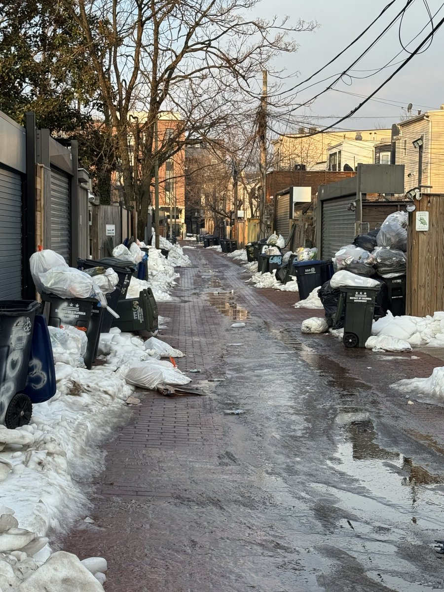 maggiefgarrett's tweet photo. .@311DCgov trash in the 600 block alley between Keefer and Kenyon St NW has not been picked up since the snow storm. Yesterday was our trash day and no pickup again. https://t.co/BcQcua55bO