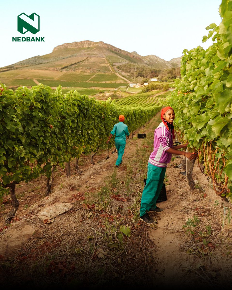 WineLand Media tweet media