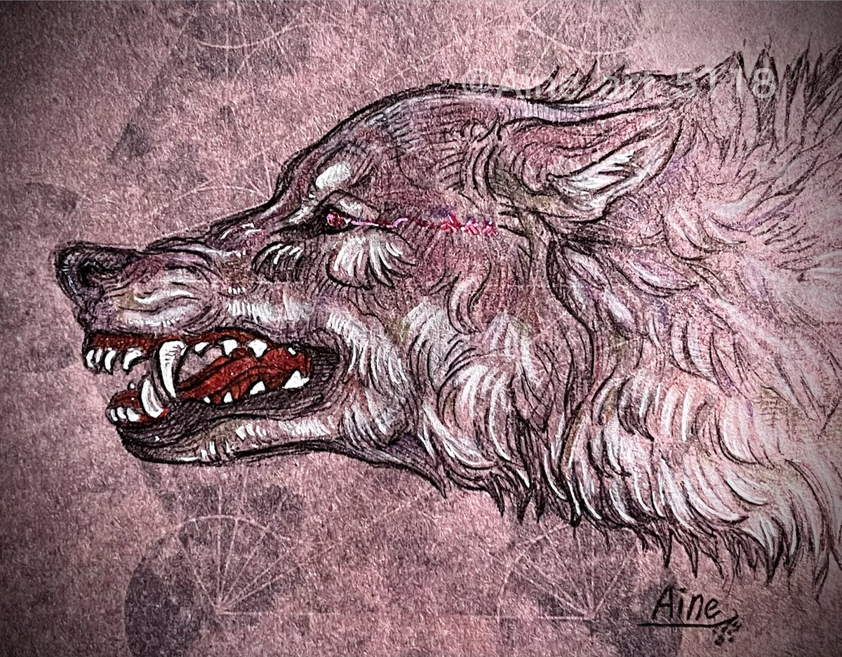 藍音|Aine (@aine_art_5118) on Twitter photo 