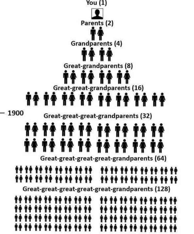 aditiitwt's tweet image. In order to be born, you needed:

2 parents
4 grandparents
8 great-grandparents
16 second great-grandparents
32 third great-grandparents
64 fourth great-grandparents
128 fifth great-grandparents
256 sixth great-grandparents
512 seventh great-grandparents
1,024 eighth…