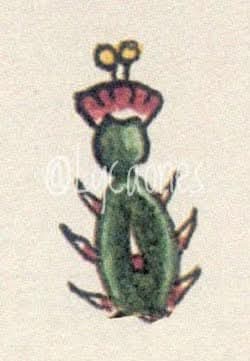 nòpalxochitl
   #Náhuatl