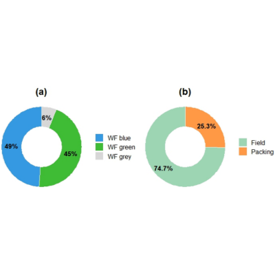 Water_MDPI's tweet photo. 📢 Check out the #new_publication from the #Water journal

📄Sustainable Water Use in Banana Export Systems: A Water Footprint Analysis of Bananas in Guayas, Ecuador

✍️ Freddy Carlos Gavilánez Luna and Fanny del Rocío Rodriguez Jarama 

Find out more 👉 https://t.co/zSvWcdRabr https://t.co/mGbUV62edj
