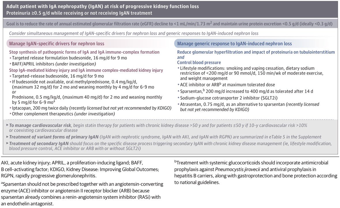 AmbrizMau's tweet photo. Tratamiento de la nefropatía por IgA:

JAMA 2026; DOI: 10.1001/jama.2025.25020 https://t.co/hdtVvUsbTH