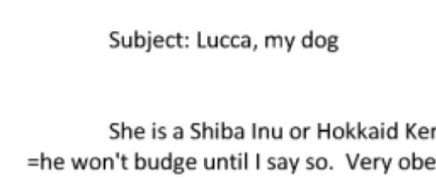 Shiba Inu News tweet media