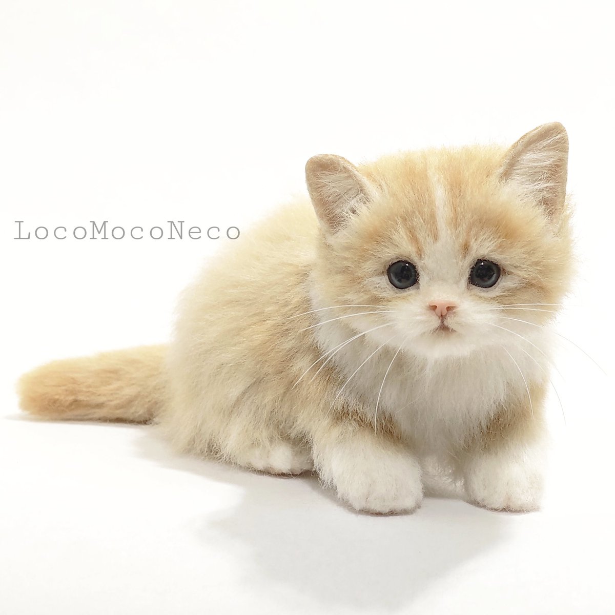 羊毛フェルトで製作したマンチカンの子猫✨️質感や佇まいに、本物の