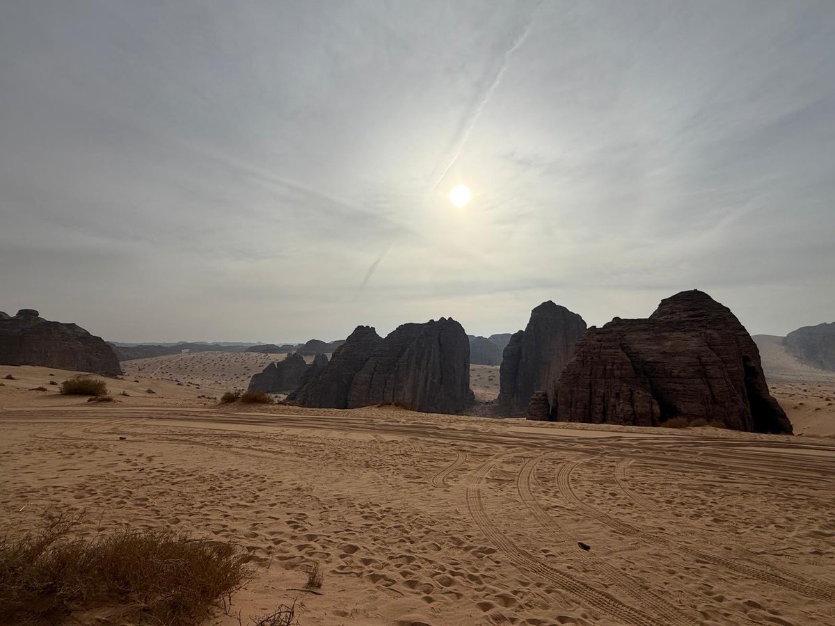 Jack Carson tweet media