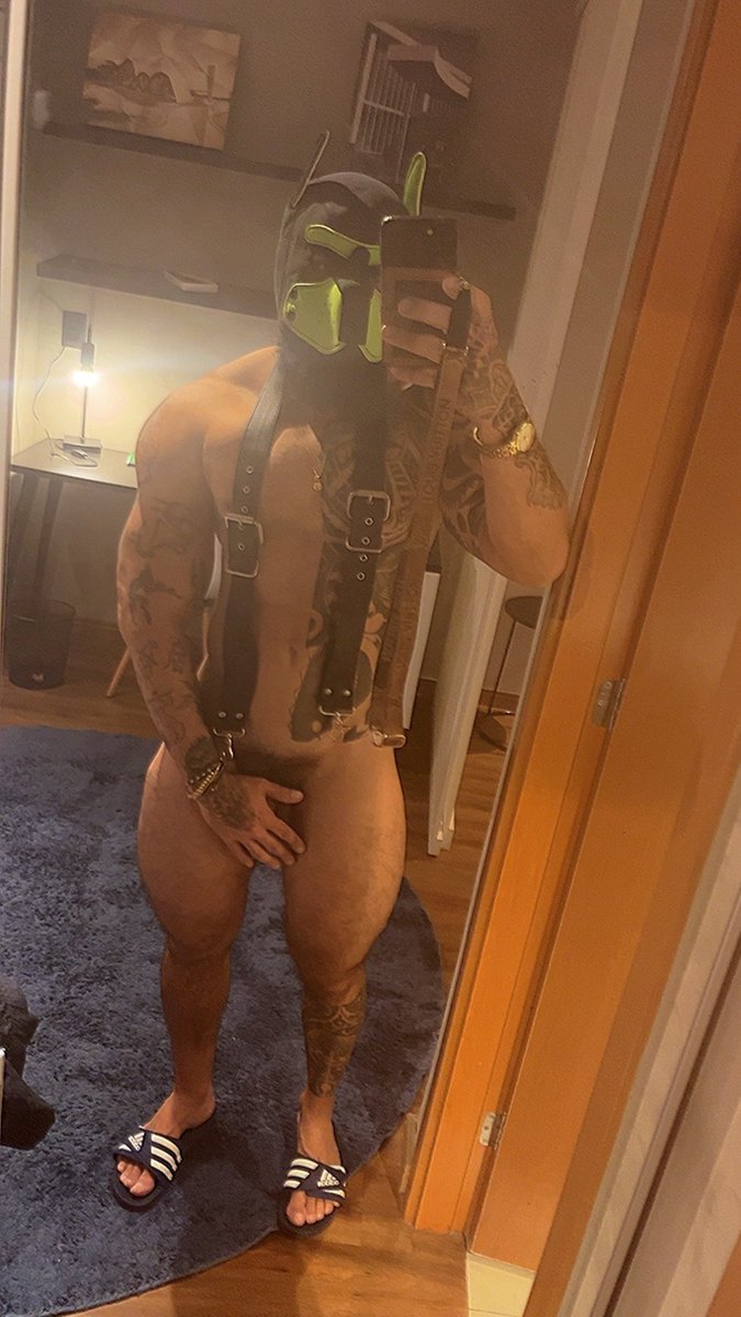 Quem curte pitbull chama dá rt ae pv tá liberado vamos 🎬