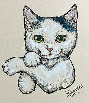 midone4's tweet photo. 「ダンス猫」
前回があまりにもかけ離れたので‘元絵を守って‘っていったらこうなった。 https://t.co/gK8MC9Ri7Q