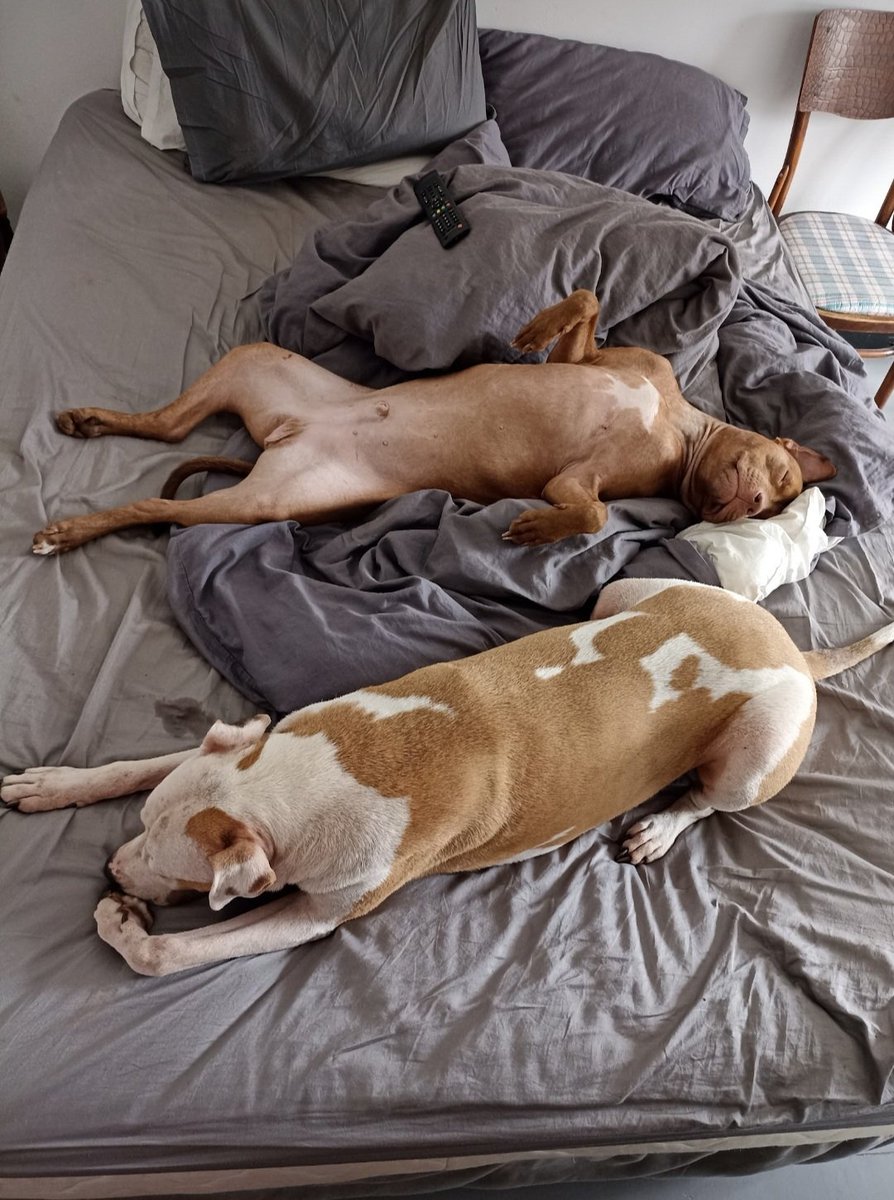 Garth Breytenbach tweet media