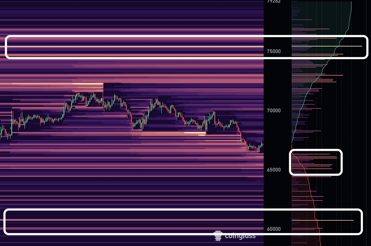 $BTC

I usually don't trade the liquidity chart but we are more towards 60K rather 75K
The ratio of longs are higher than the short as of now that making the move and the bunch of SLs sitting over 65K neighbour