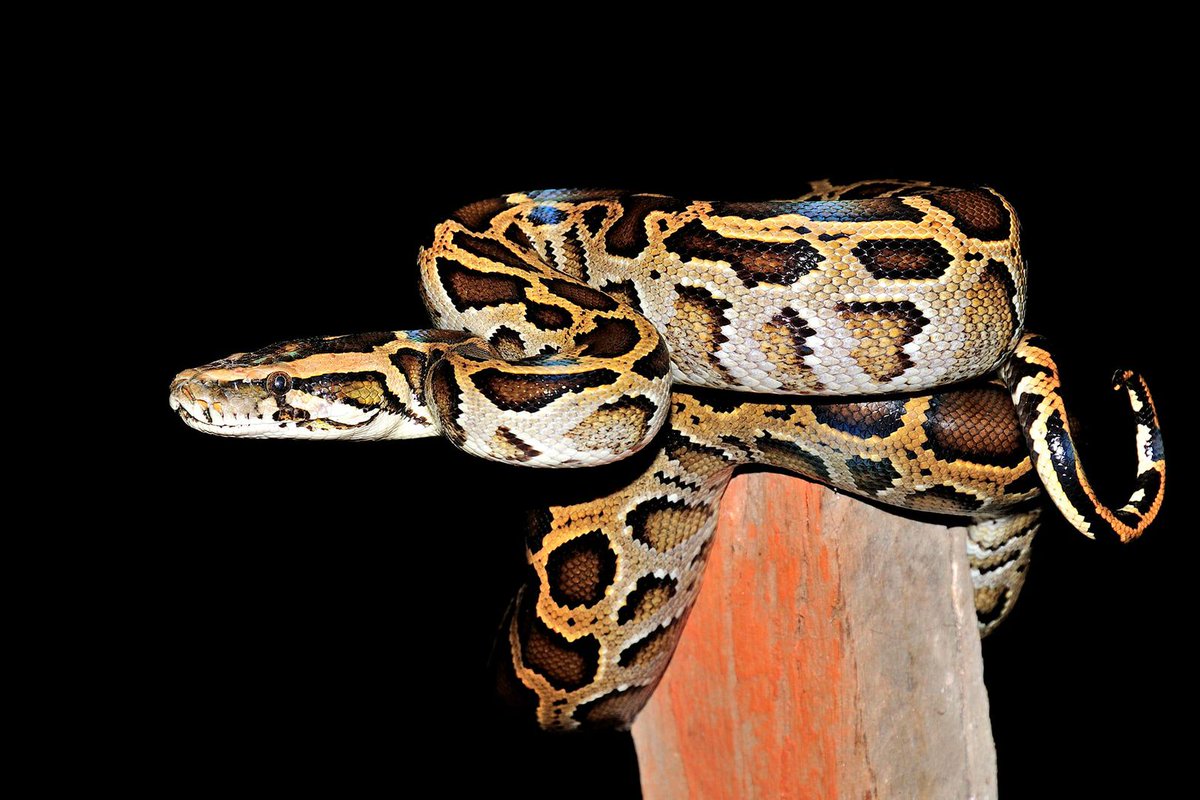 Nepal Tourism Board tweet media