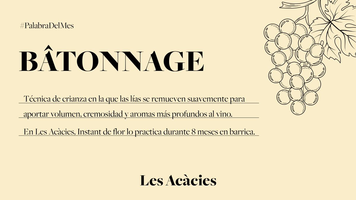 Bâtonnage 🍷 — Técnica de crianza que remueve suavemente las lías para aportar volumen, cremosidad y aromas más profundos. 

En Les Acàcies, Instant de Flor lo practica durante 8 meses en barrica. 🌿

#Batonnage #PlaDeBages #PalabraDelMes