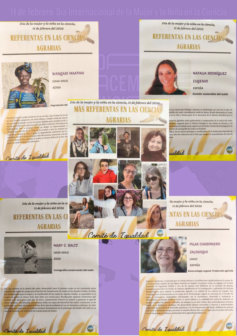 ICA_CSIC tweet media