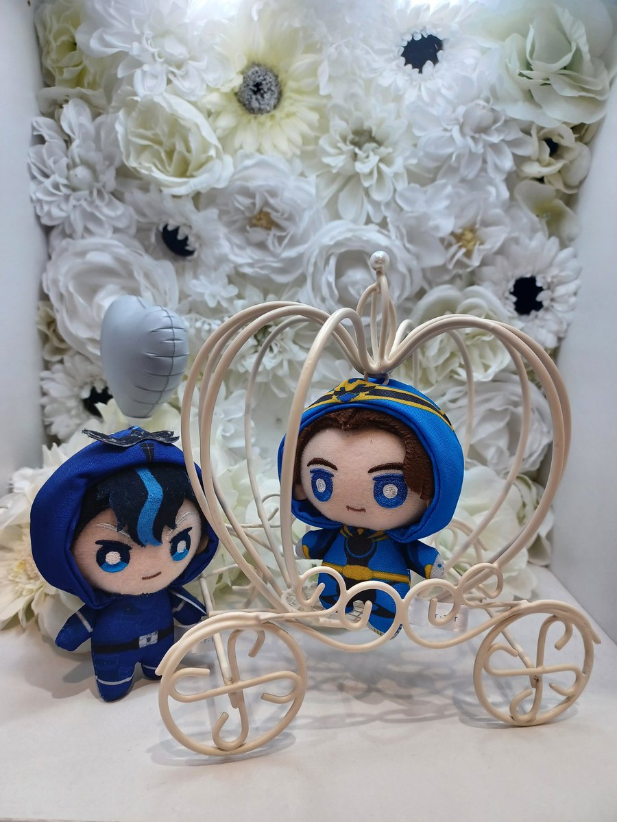 ザダイナーのぬい撮りエリア考えた人天才。総長と陸王さま꒰ ✪ㅅ✪꒱✧︎