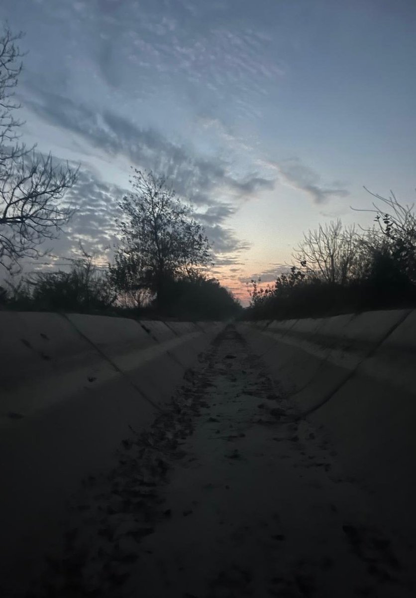 Sandeep Jakhar (ਜਾਖੜ/जाखड़) tweet media