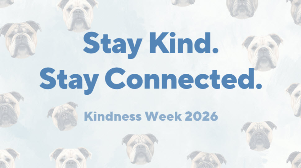 CNHSPBIS's tweet photo. Kindness Week begins on Monday!  This year's theme is "Stay Kind. Stay Connected."  To help everyone get into the spirit, the PBIS Committee will be having a Door Decorating contest for Advisory classes. 

Kindness week continues today, with a banner singing during both lunches. https://t.co/yLO3Vcy1Gp