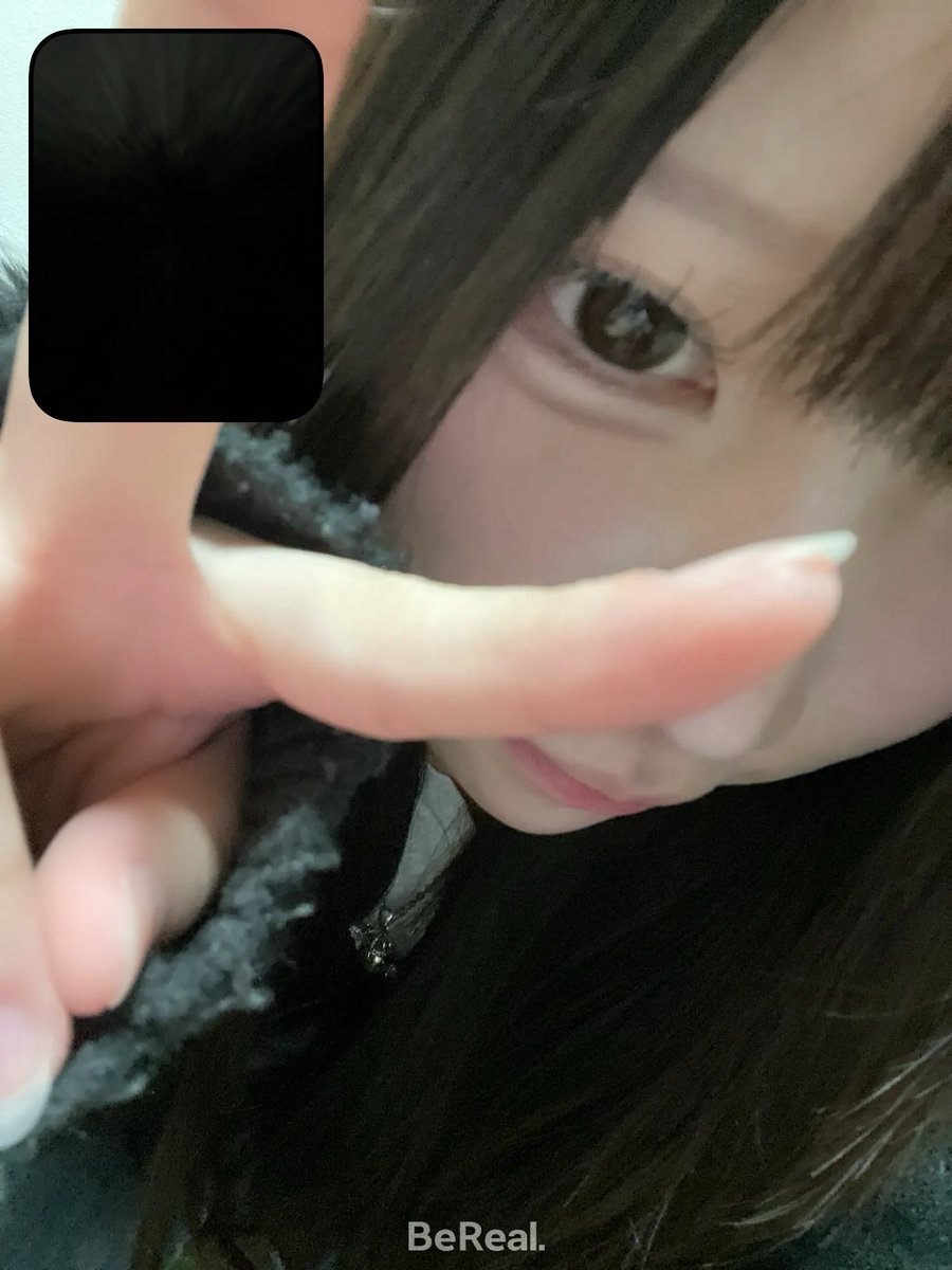 愛猫 (@mananeko_2) on Twitter photo 