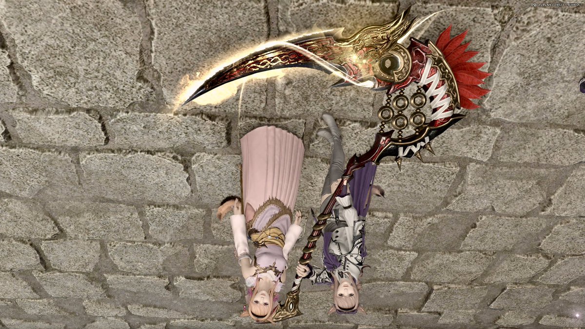 ペースト集め無事に終わったが...

似てると言われニワトリ色に染められるPWよ...🐔