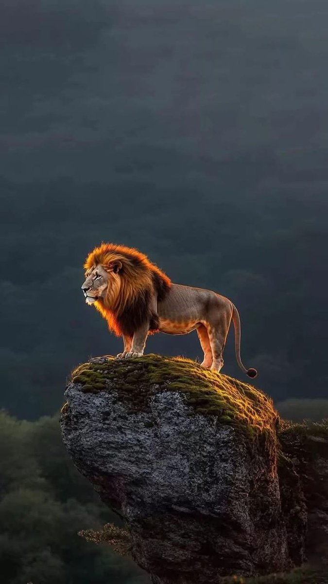 Beautiful views (@magicalnature5) on Twitter photo 