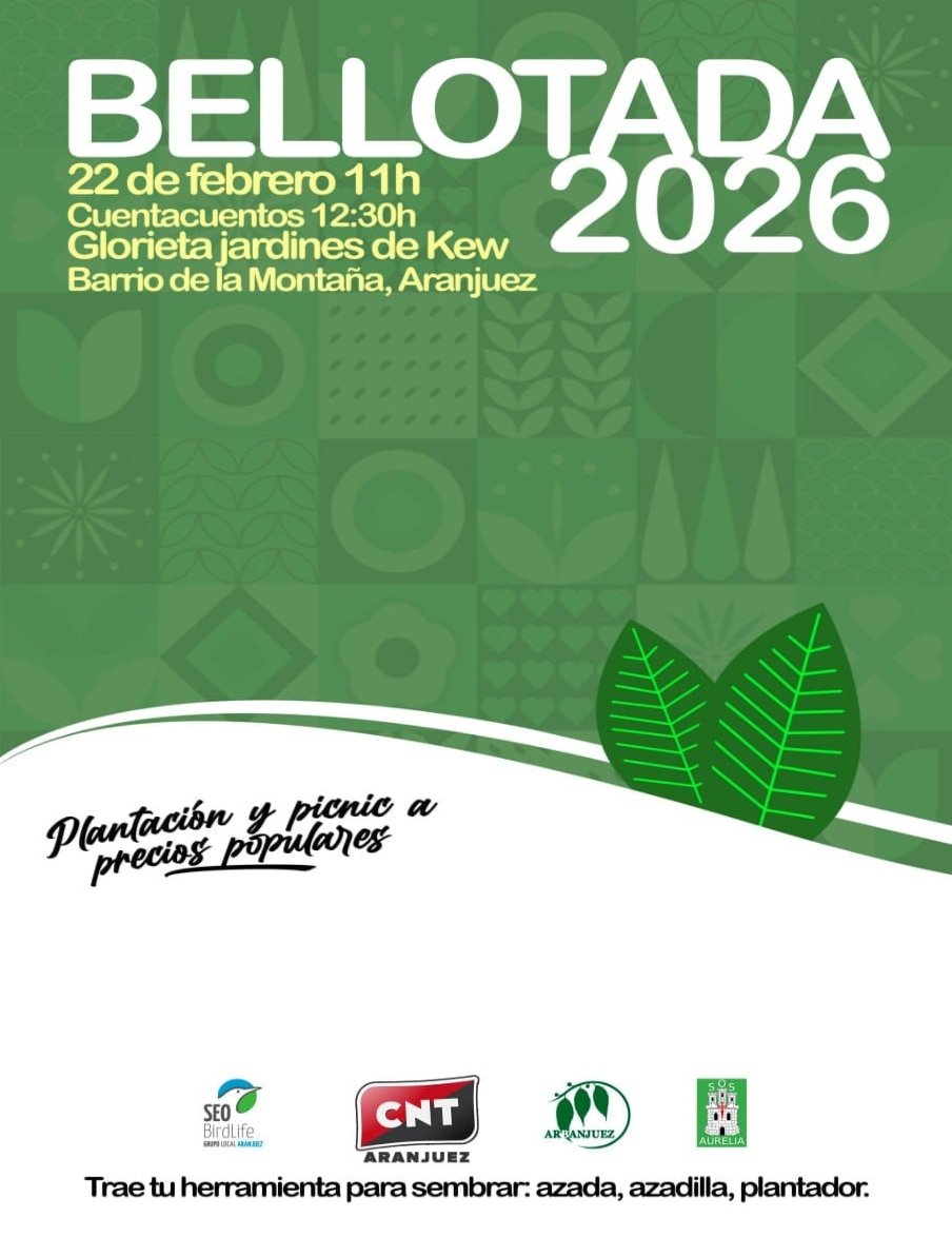 🌳 Bellotada 2026 🌳