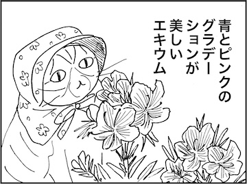 海月 (@kaige2) / Posts / X