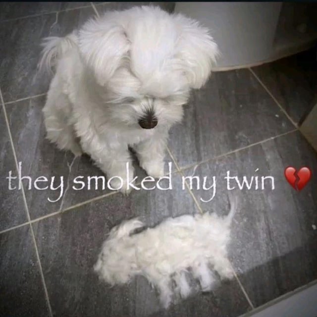 *In the Archon gathering*

Venti: The Pyro Archon is a wayward, warmongering wretch, and the Geo Archon is a brutish, blundering buffoon!!!

Zhongli: That drunkard is a disgrace to the arts. 

Ei: