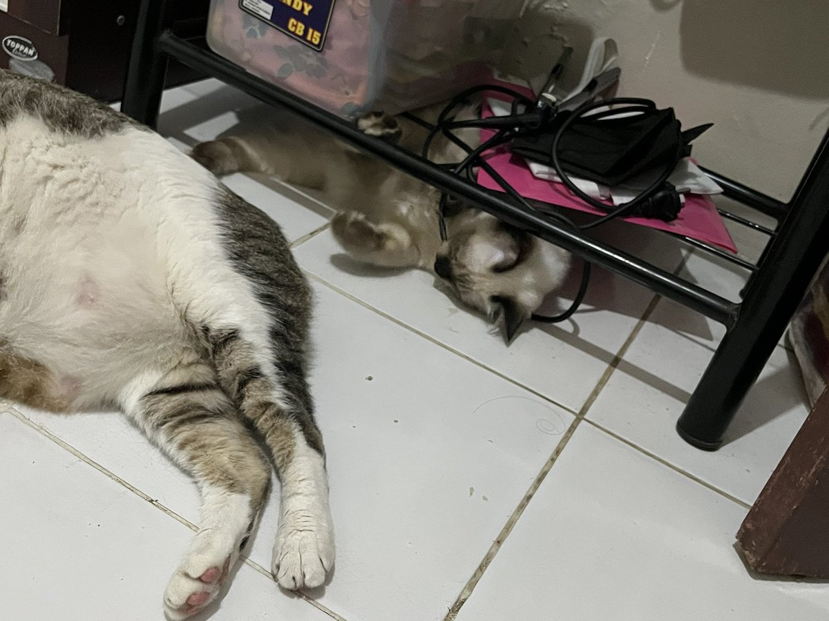 adeknya dikasih pantat😩😭