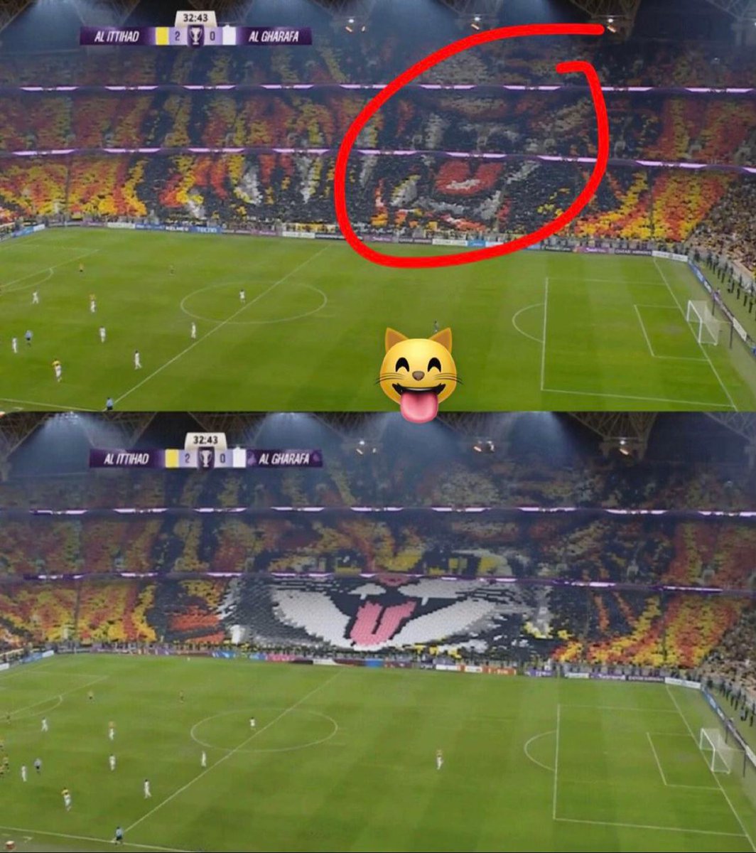 ورد الجنوب (@aala711is) on Twitter photo 